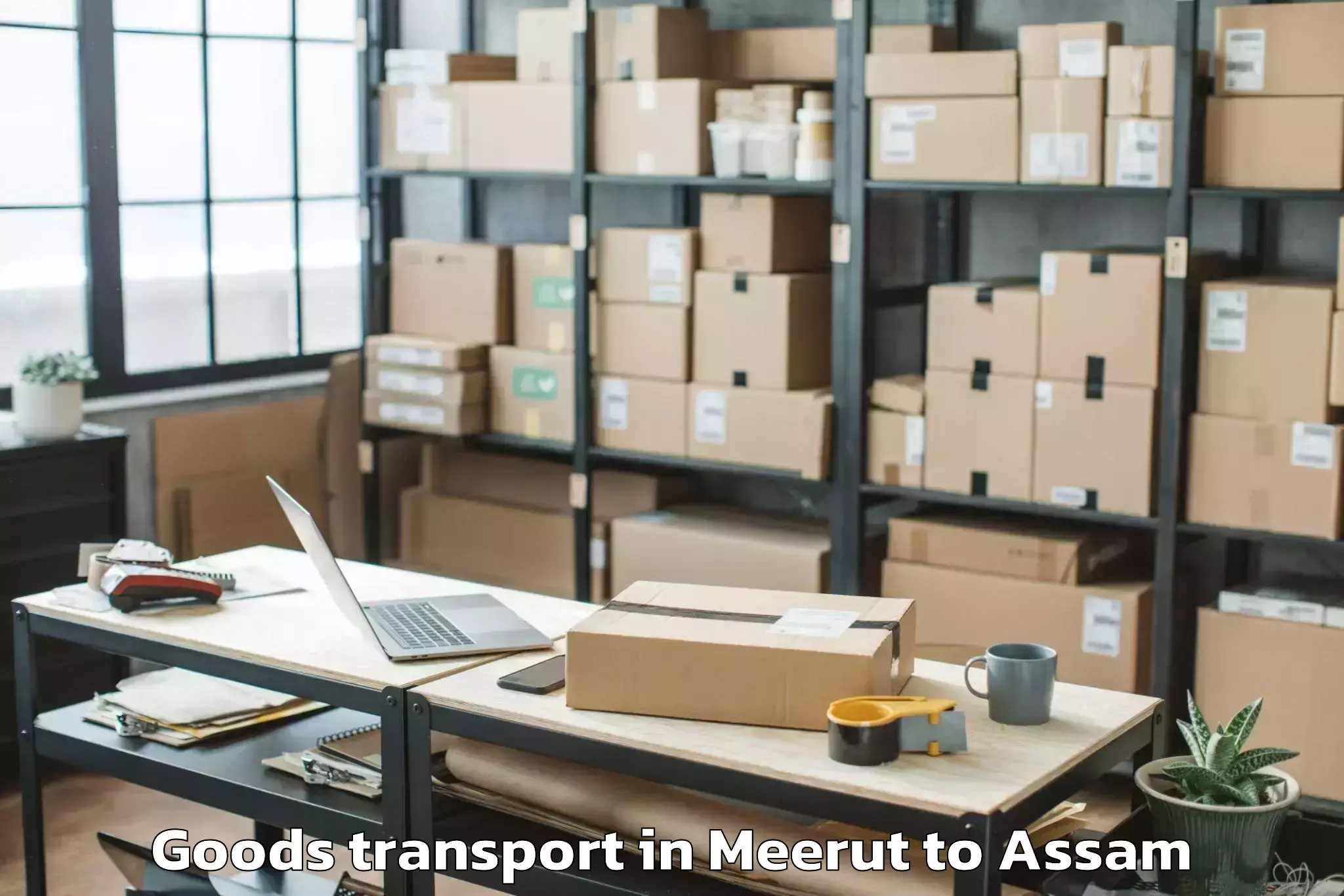 Expert Meerut to Biswanath Chariali Goods Transport